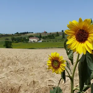 gites-des-camparros.midi-pyreneeshotels.com/